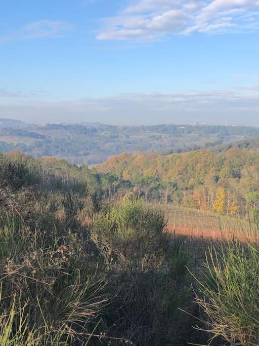 Faetole Typical Tuscan Country House Near Florence Capannuccia المظهر الخارجي الصورة
